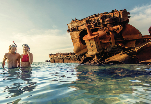 tangalooma marine discovery day cruise